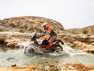 156377 MCH13823 Dafe Flat B EU Global